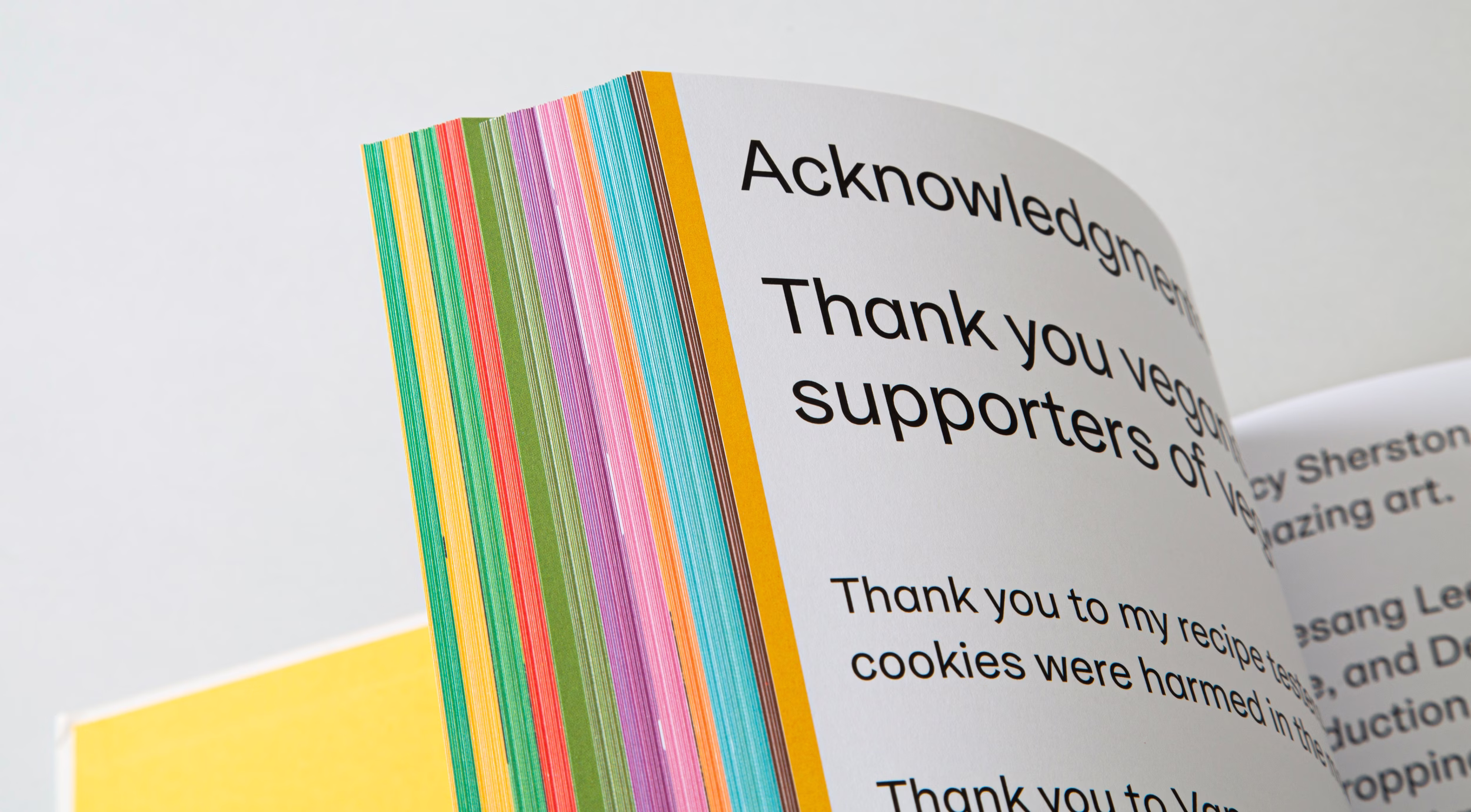 i can cook vegan book by no ideas studio